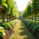 Jardin luxuriant avec sureaux et pommiers en espalier en plein soleil