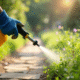 Jardinier pulvérisant un traitement contre les mauvaises herbes dans un chemin ensoleille